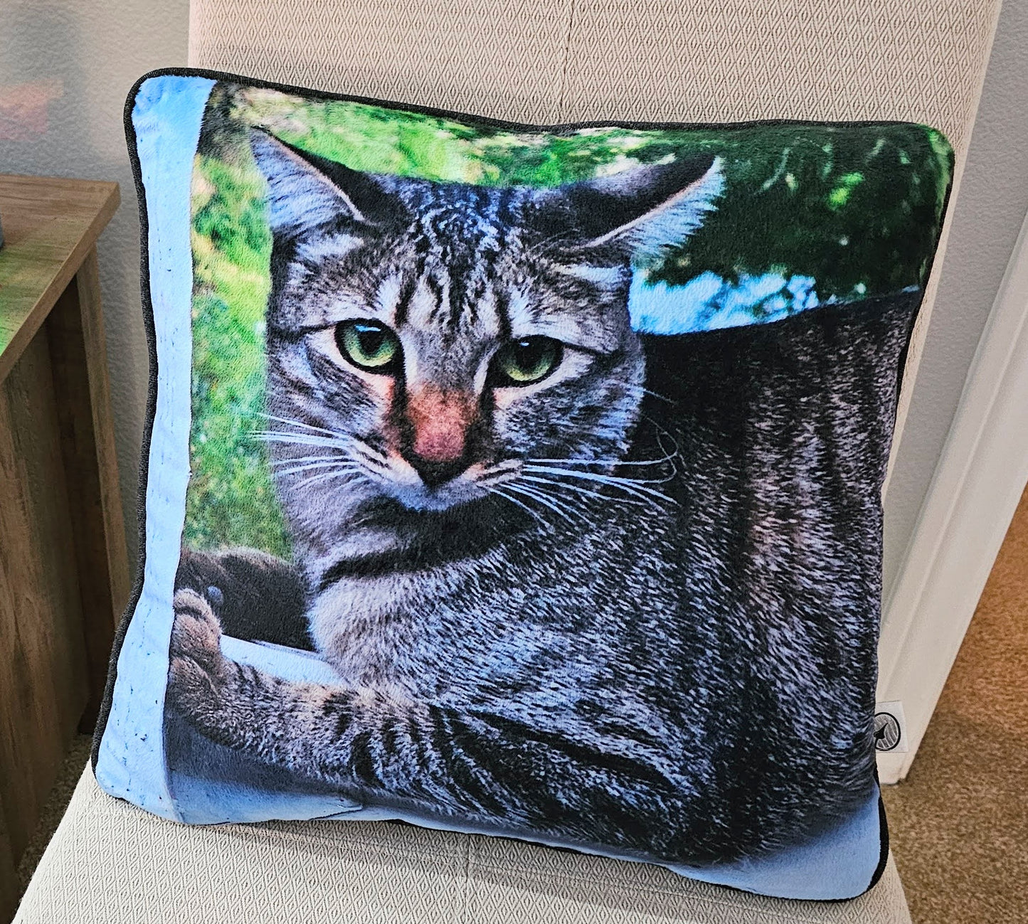 Custom Pet Pillow with Your Photos