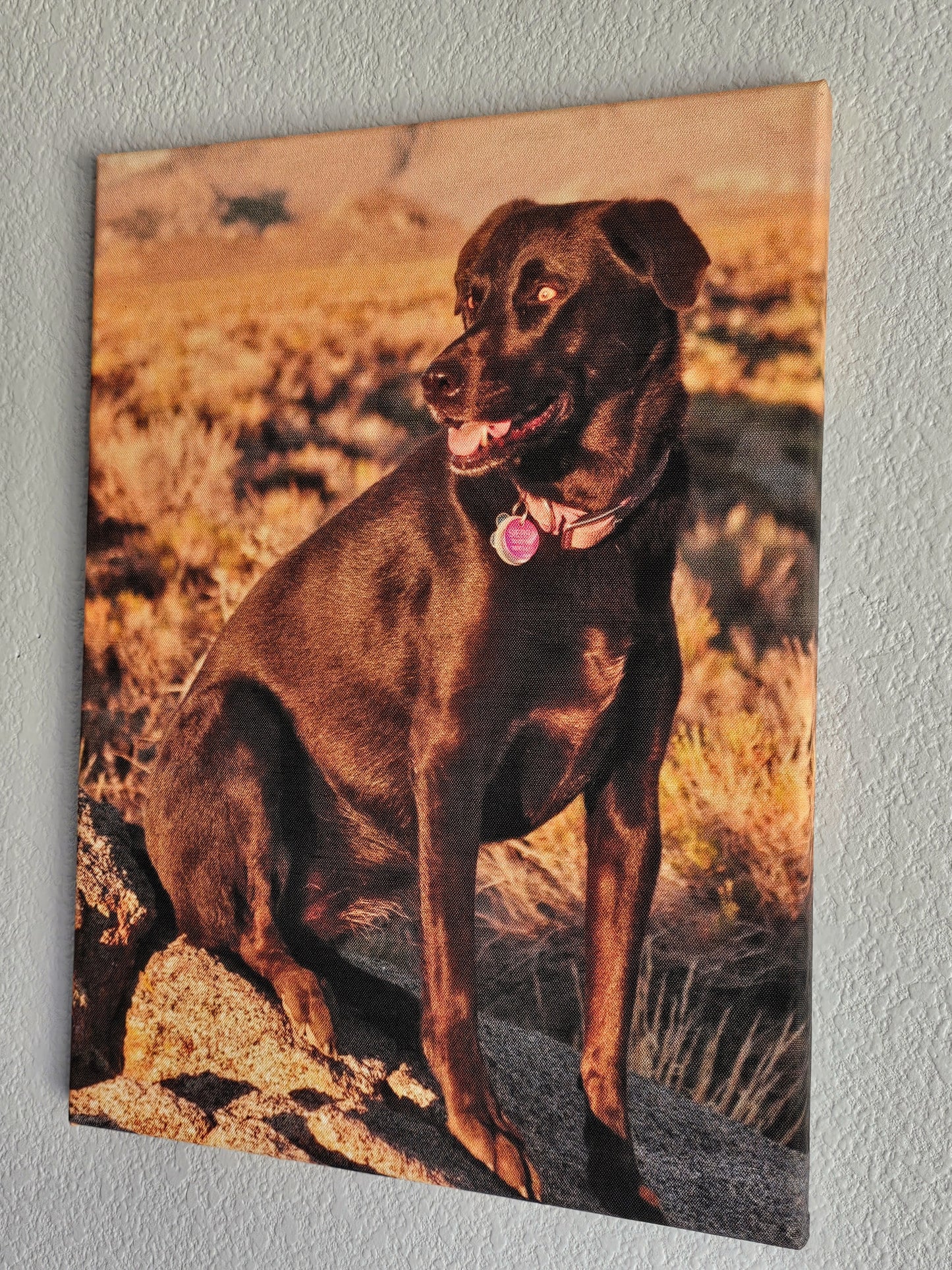 Custom Pet Canvas with Your Photos