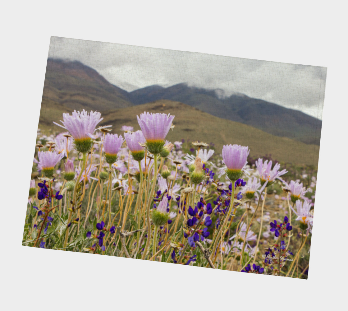 Eastern Sierra Asters Wildflowers after summer storm Placemat