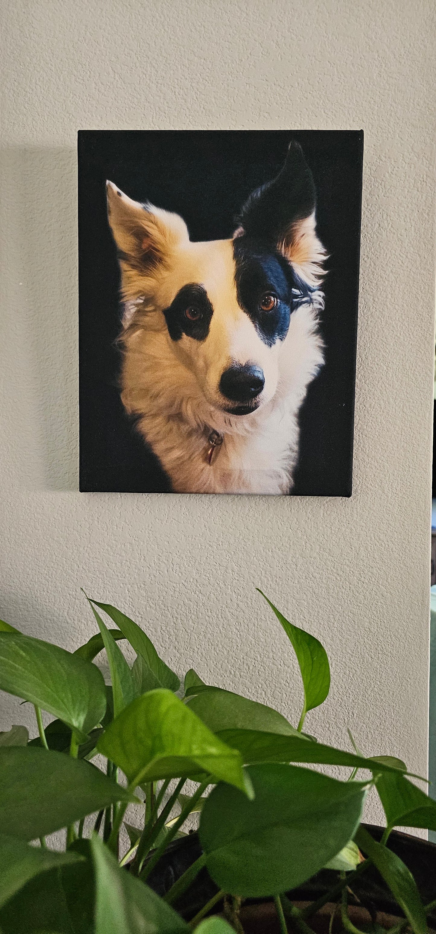 Custom Pet Canvas with Your Photos