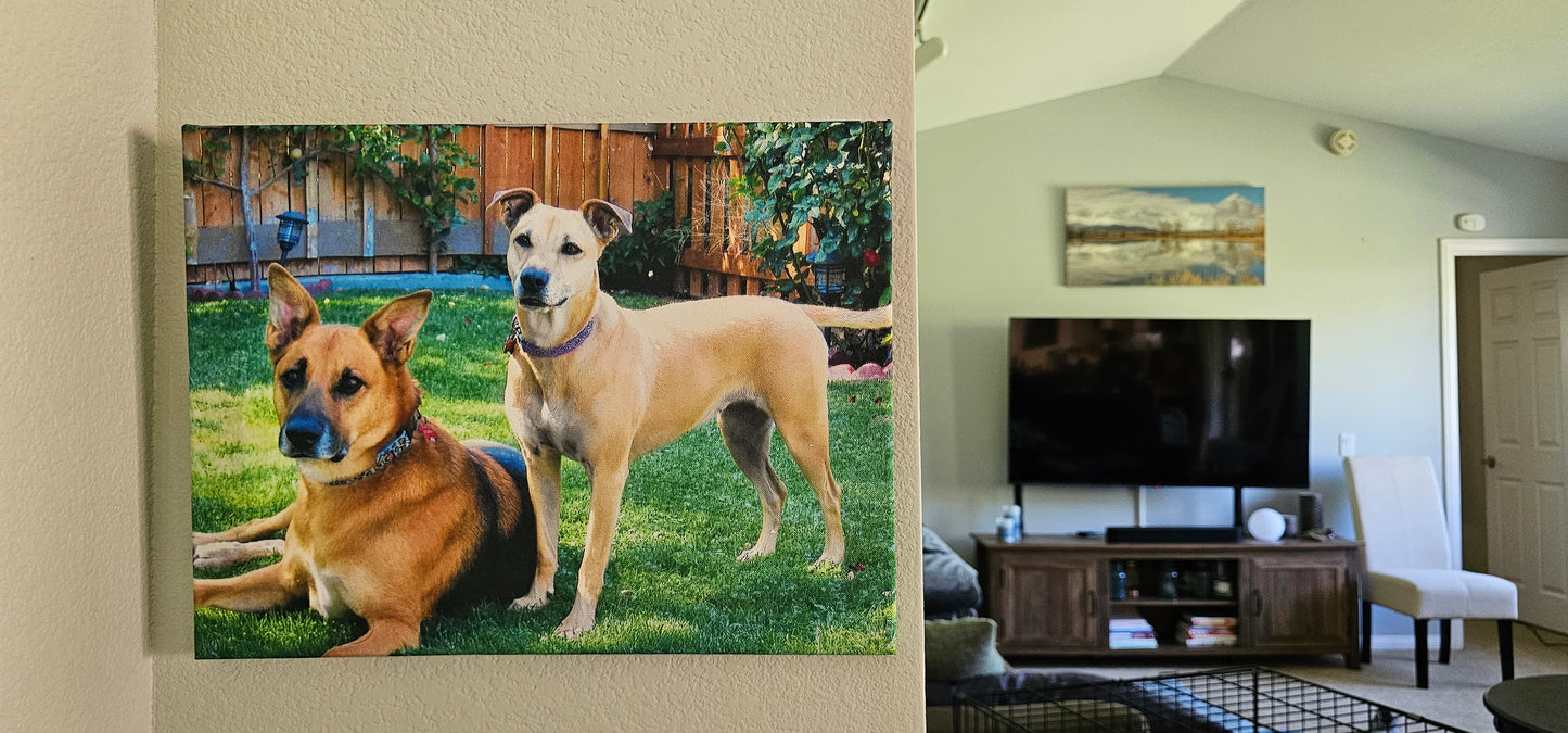 Custom Pet Canvas with Your Photos